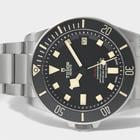 Tudor Pelagos - Image 2