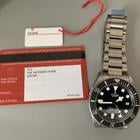 Tudor Pelagos - Image 5