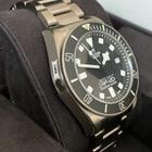 Tudor Pelagos - Image 11