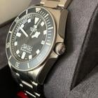 Tudor Pelagos - Image 12