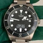 Tudor Pelagos - Image 7