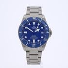 Tudor Pelagos - Image 2