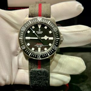 39136385-ucrd8dqntu0bpgg0xuclljx8-ExtraLarge.jpg Tudor Pelagos