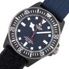 Tudor Pelagos - Image 2