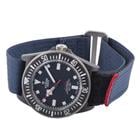 Tudor Pelagos - Image 4
