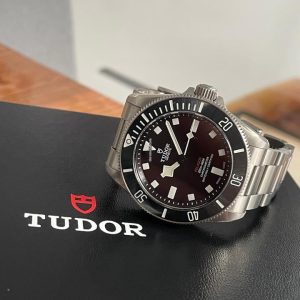 39227706-f055kzav9yyt2z28nei5ek35-ExtraLarge.jpg Tudor Pelagos
