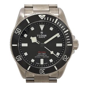39371354-c6wenlcp33ex86pzgcuhg8nq-ExtraLarge.jpg Tudor Pelagos