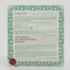 Rolex Explorer II - Image 9