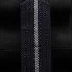 Tudor Pelagos - Image 15