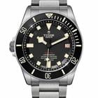 Tudor Pelagos - Image 2