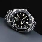 Tudor Pelagos - Image 4