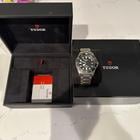 Tudor Pelagos - Image 2