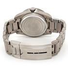 Tudor Pelagos - Image 4