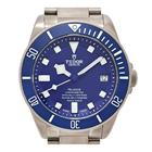 Tudor Pelagos - Image 2