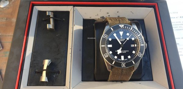 Tudor Pelagos