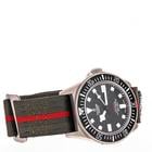 Tudor Pelagos - Image 12