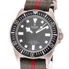 Tudor Pelagos - Image 2