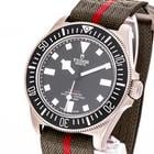 Tudor Pelagos - Image 3