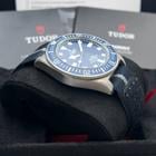 Tudor Pelagos - Image 3