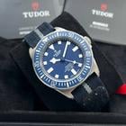 Tudor Pelagos - Image 2