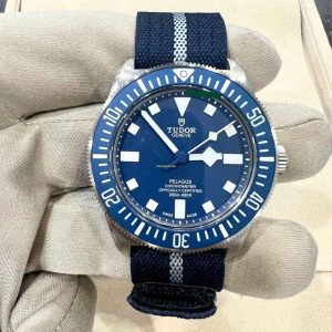 Tudor Pelagos