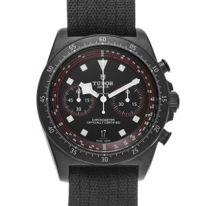 39826300-tozxgeylqzbyrrlbfkd6yfms-ExtraLarge.jpg Tudor Pelagos