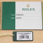 Rolex Explorer II - Image 7