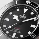 Tudor Pelagos - Image 8