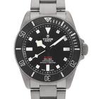Tudor Pelagos - Image 2