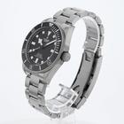 Tudor Pelagos - Image 3