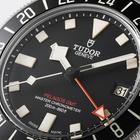 Tudor Pelagos - Image 8