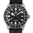 Tudor Pelagos - Image 2