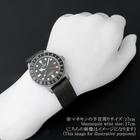 Tudor Pelagos - Image 7