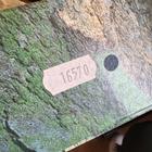 Rolex Explorer II - Image 10