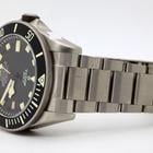 Tudor Pelagos - Image 3
