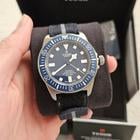 Tudor Pelagos - Image 8