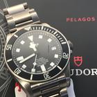 Tudor Pelagos - Image 13