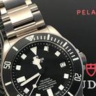 Tudor Pelagos - Image 14