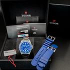 Tudor Pelagos - Image 4