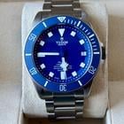 Tudor Pelagos - Image 7