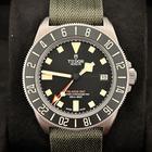 Tudor Pelagos - Image 2