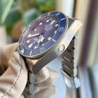 Tudor Pelagos - Image 6