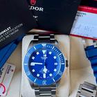 Tudor Pelagos - Image 8