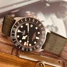 Tudor Pelagos - Image 16