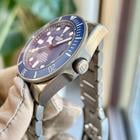 Tudor Pelagos - Image 5