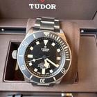 Tudor Pelagos - Image 11