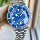 Tudor Pelagos - Image 4