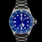 Tudor Pelagos - Image 22