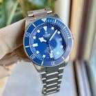 Tudor Pelagos - Image 3