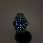 Tudor Pelagos - Image 16